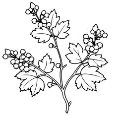 Plants with flower coloring pages. Flower outline