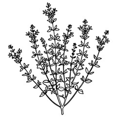 Fototapeta premium Plants with flower coloring pages. Flower outline