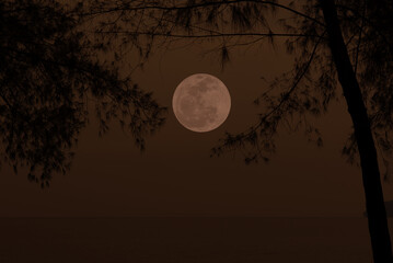 Full moon in the sky over sea.