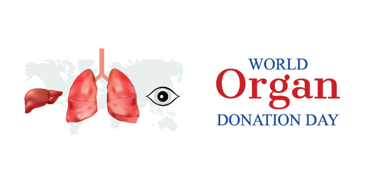 World Organ Donation Day, Inspire action. Organ Donation Day, and compassion with this poignant World Organ Donation Day graphic, featuring a symbolic. World, Organ, Donation, Day, Poster, 