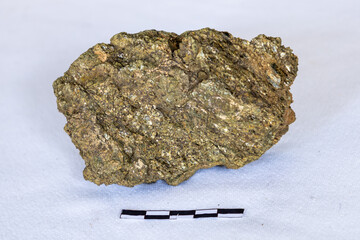 A sample of gold coloured Biotite Schist against a white background with a 5cm scale