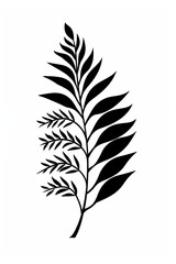 A leafy plant with a black stem and leaves