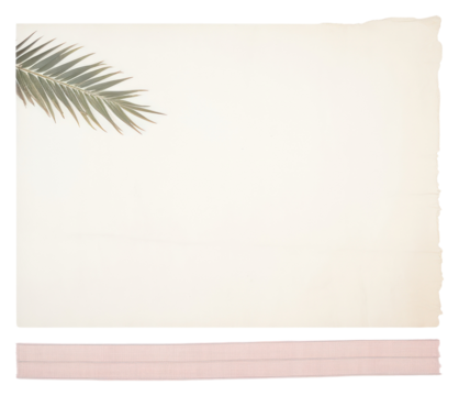 PNG Palm leaves cushion pillow linen.