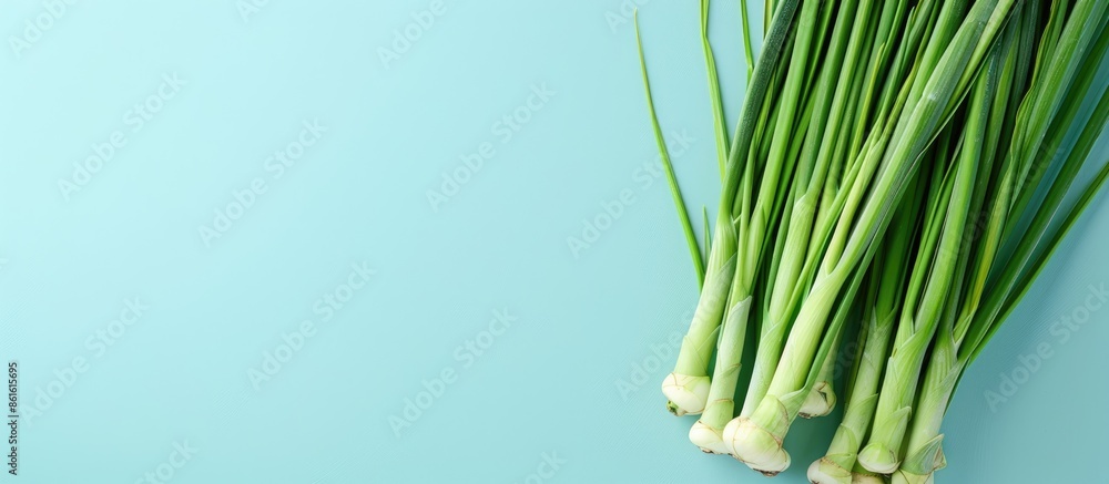 Poster fresh lemongrass isolated on pastel background with clipping path and full depth of field. with copy