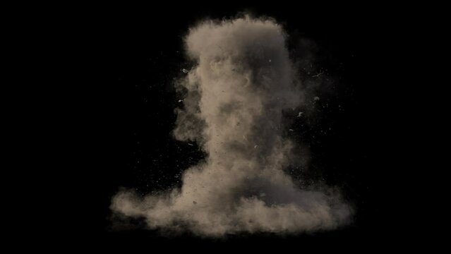Dust Tornado with Debris