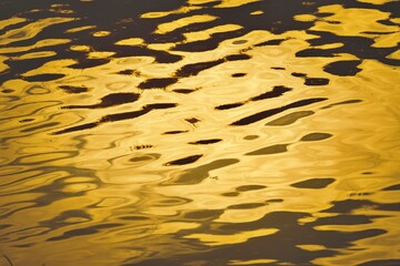 The water is reflecting the sun and the ripples are creating a beautiful pattern