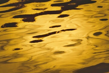 The water is reflecting the sun and the ripples are creating a beautiful pattern