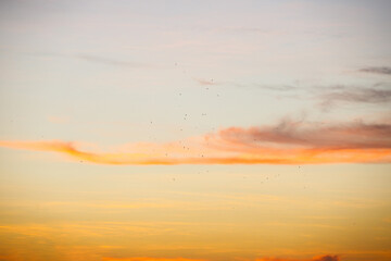 Beautiful colorful sky in an autumn sunrise in Rio de Janeiro.