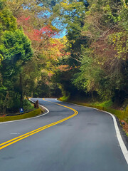 Taiwan, Hehuan Mountain, Mountain, Huanshan Highway, Mountain Road, Highway on the High Mountains