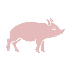 pig on a white background