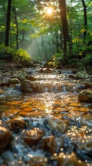 Peaceful Forest Stream 