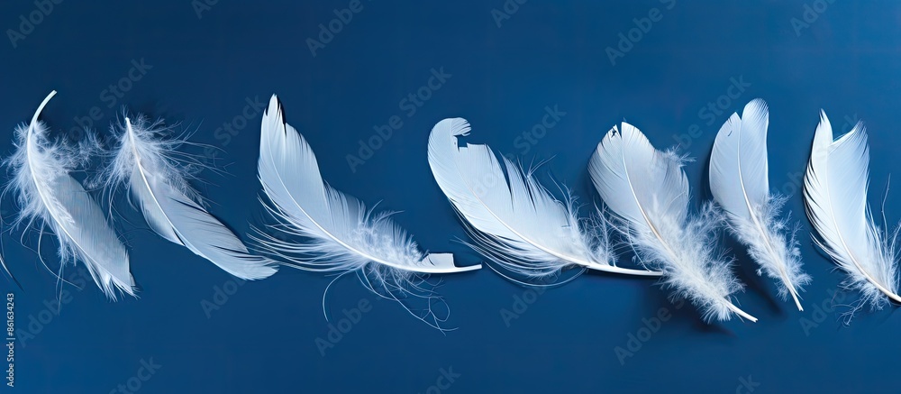 Poster studio-shot white feathers of birds with raindrops on a blue background create a picturesque copy sp