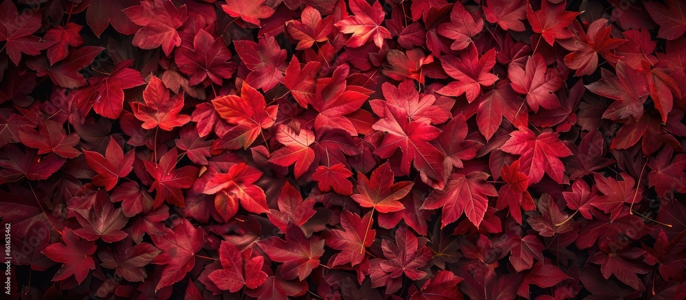 Aufkleber ideal for fall-themed designs, a stunning pattern of red autumn leaves provides the perfect backdrop