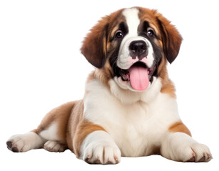 PNG Puppy mammal animal dog.