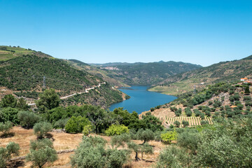 Obraz premium Em meio a montanhas, floresta e vinhas o rio Tua em Trás os Montes, Portugal