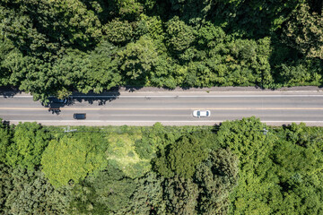 ドローン撮影：木に囲まれた、車が走る道路の俯瞰画像
