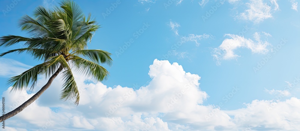 Poster a serene scene featuring a coconut palm tree set against a cloud-filled blue sky, creating a picture