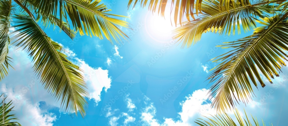 Poster a scenic tropical setting with coconut palm leaves against a vibrant blue sky, ideal for travel or n