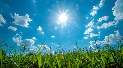 Obraz premium Bright Sunny Day in Lush Green Meadow with Blue Sky and Wispy Clouds