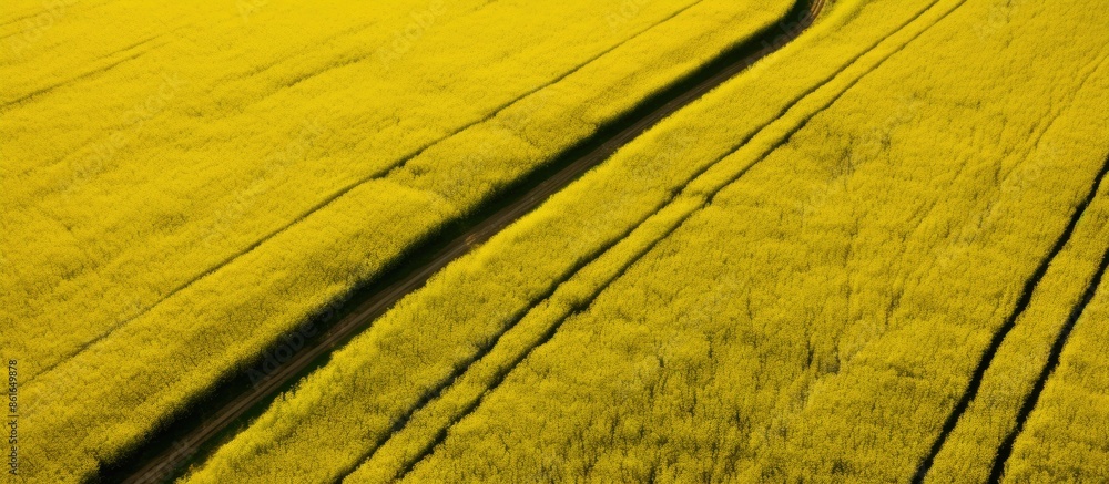 Aufkleber An aerial perspective captures vibrant rapeseed fields with tractor tracks creating geometric patterns below, creating an ideal copy space image.