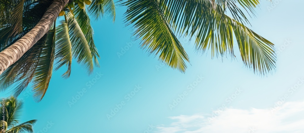 Poster tropical coast scenery with palm and coconut trees against a clear blue sky, creating a summer vibe 