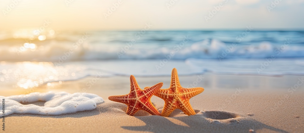 Poster two starfish on a sandy beach background with copy space image.