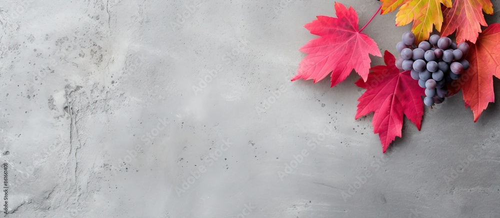 Poster colorful autumn background with fall red grape leaf on the left side of a light gray stone backgroun