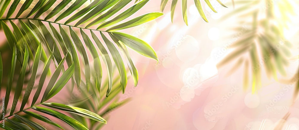Poster tropical palm foliage, greenery background, summer concept pastel background. with copy space image.