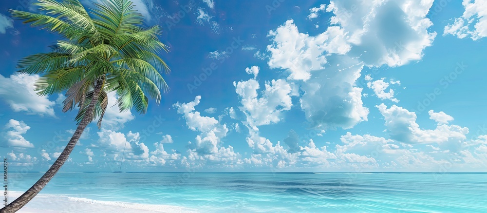 Aufkleber Tropical beach scene with a palm tree against a blue sky and white clouds serves as a background for adding text or images. with copy space image. Place for adding text or design