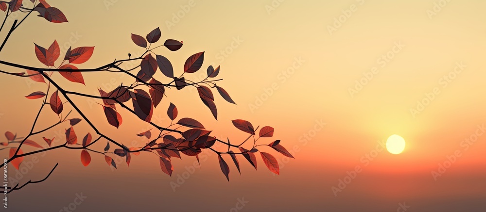 Aufkleber silhouette of a branch and leaves against the sunset with ample copy space image.