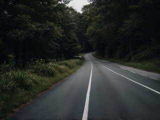Fototapeta premium Summer day in farmers' fields. The gray asphalt road goes down and into the distance like a narrow ribbon. Around there are fields with green vegetation, forest belts with trees with green foliage.