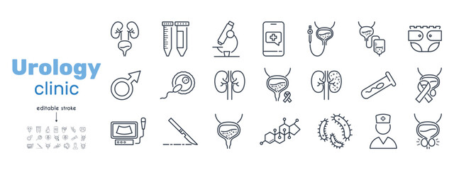Set of line icons urology clinic. Kidneys, bladder,catheter, cystoscope, hormones, testosterone, impotence, spermogram, prostatitis, surgery, bacteria, urologist, urinary incontinence, fertilization