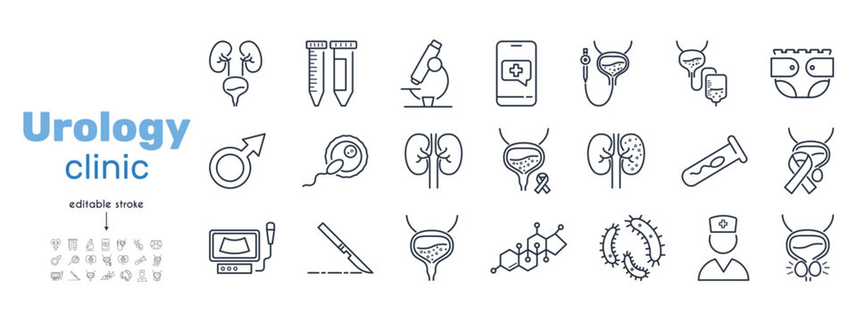 Set of line icons urology clinic. Kidneys, bladder,catheter, cystoscope, hormones, testosterone, impotence, spermogram, prostatitis, surgery, bacteria, urologist, urinary incontinence, fertilization