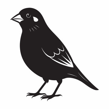 recommend clip art:  finch silhouette black vector illustration