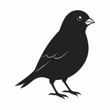recommend clip art:  finch black silhouette vector