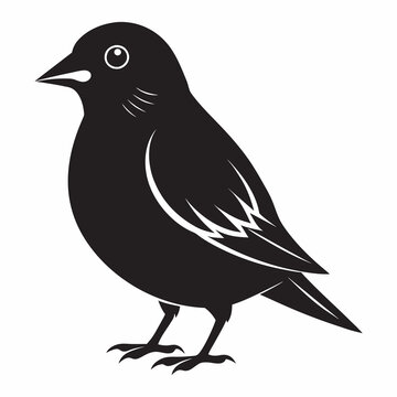 recommend clip art: Finch Silhouette Vector Illustration black vector