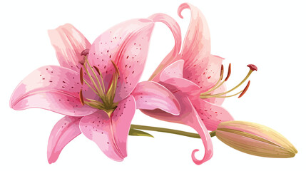 Exotic pink flower bud. Realistic lily blossom flat v