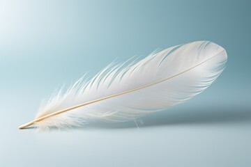 Obraz premium Serenity in Solitude: Minimalist Close-up of a Delicate Feather on White Background with Soft Colors and Negative Space