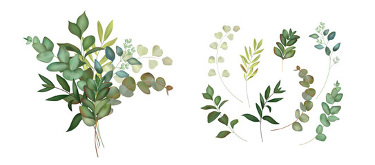 Watercolor flowers. Floral watercolour leaf, eucalyptus branch and green tree plants, nature borders. Isolated decorative botanical elements. Elegant floral greenery rustic style. Vector frames