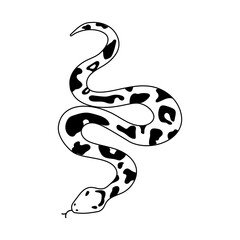 Vector isolated element, snake. Hand drawn doodle.
