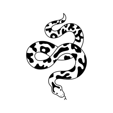 Vector isolated element, snake. Hand drawn doodle.