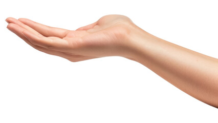 PNG  Hand person female finger.