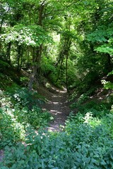 Fototapeta premium Country path walk at Bramber, West Sussex. 