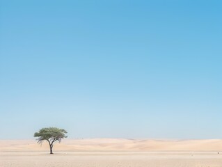 Solitary Tree in Vast Desert Landscape Capturing Stark Beauty of Minimal Elements