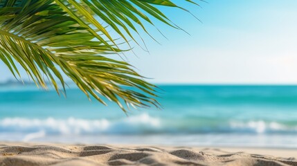 Fototapeta premium Palm Leaf and Sandy Beach