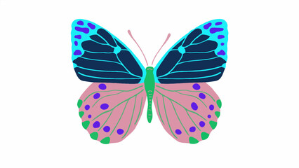 Butterflies a close up of a butterfly wing with blue and orange colors on it's wings and a black background. .Blue Butterfly's