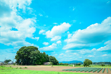アニメのような日本の田舎の風景