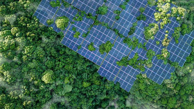 Solar panels installed in the green forest Clean alternative energy concept. Environment, solar energy, generator.