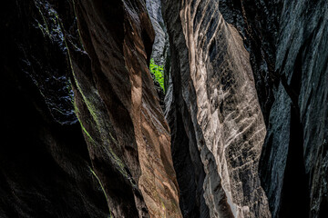 Aareschlucht