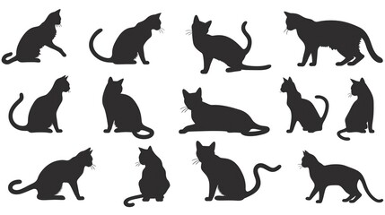 Vector Silhouettes of cats in various poses in black color on a white background